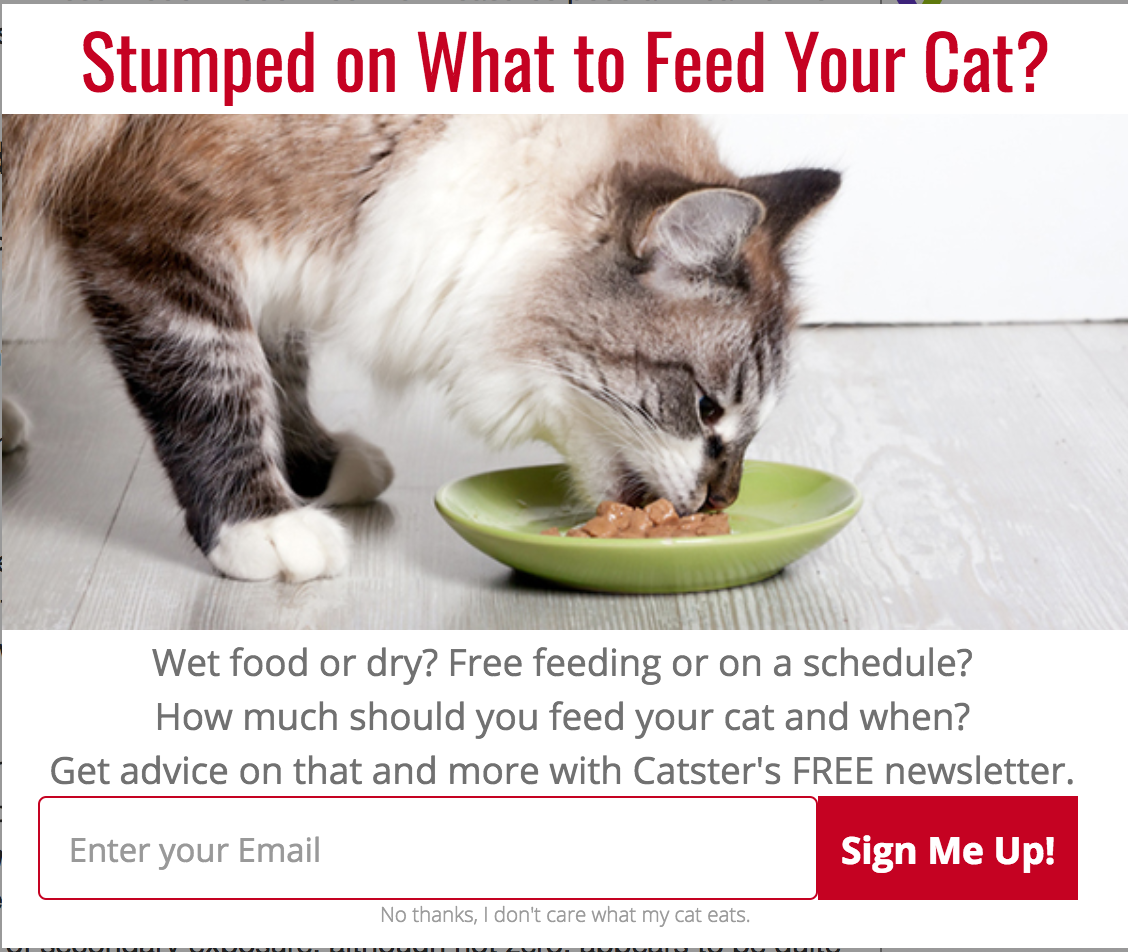No, I don't want my cat to be happy